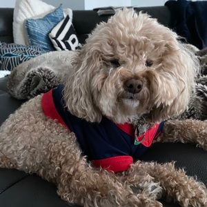 Meet your Posher, Jackie